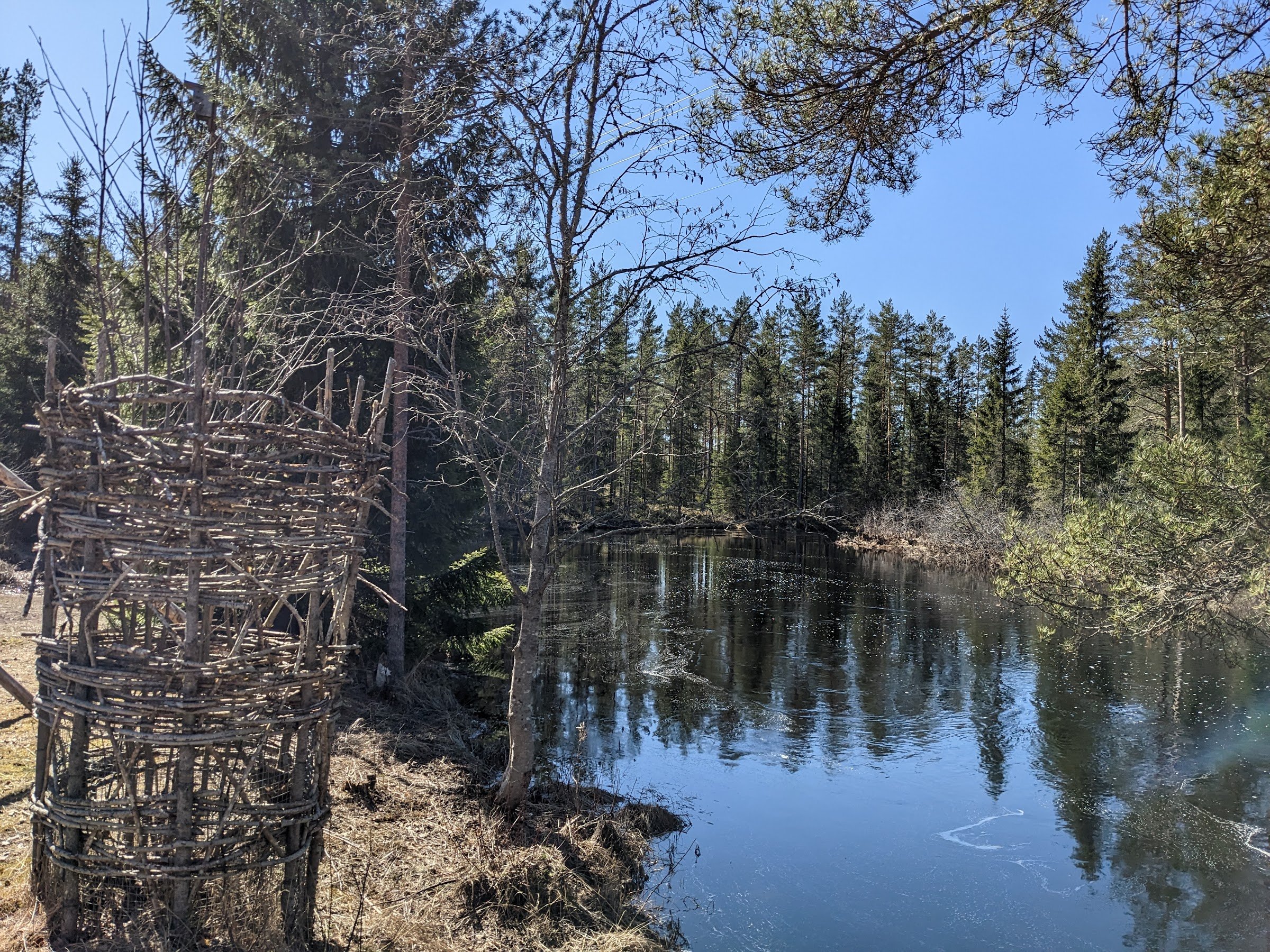 Norsk skogfinsk museum